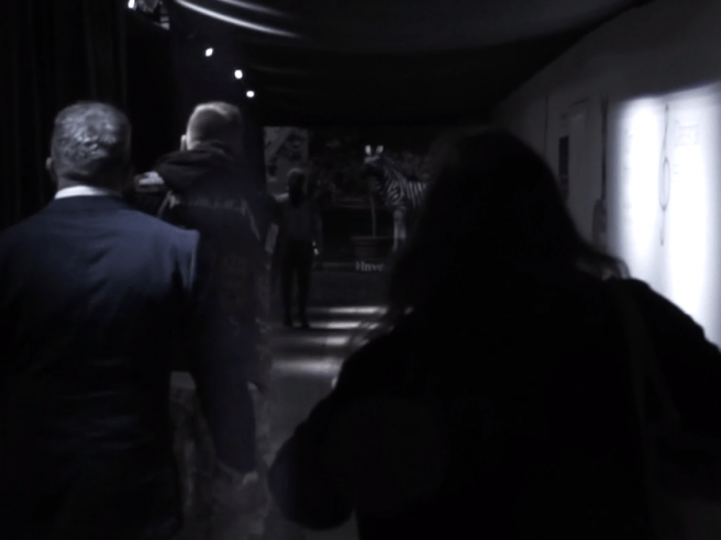 A reflection on our new film: Into The Light