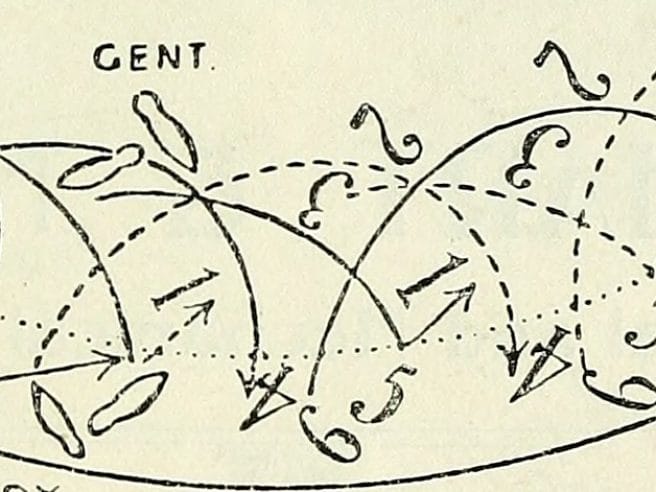 Waltz, schmaltz, hard cash and champagne: Lehár’s The Merry Widow