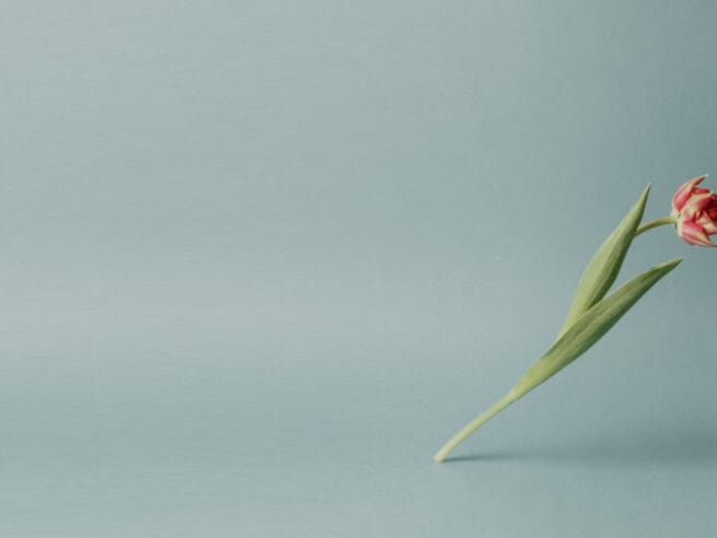 Opera in Song repertoire