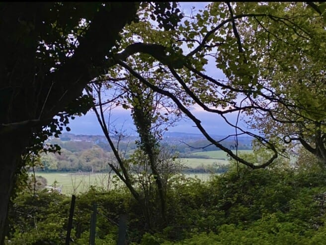 Cad Goddeu- Battle of the Trees- a Welsh language kids opera workshop &#8211; 11:30 AM